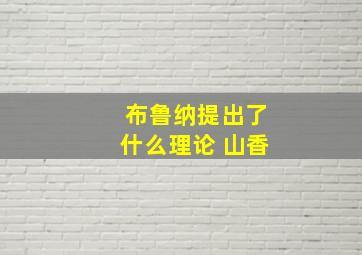 布鲁纳提出了什么理论 山香